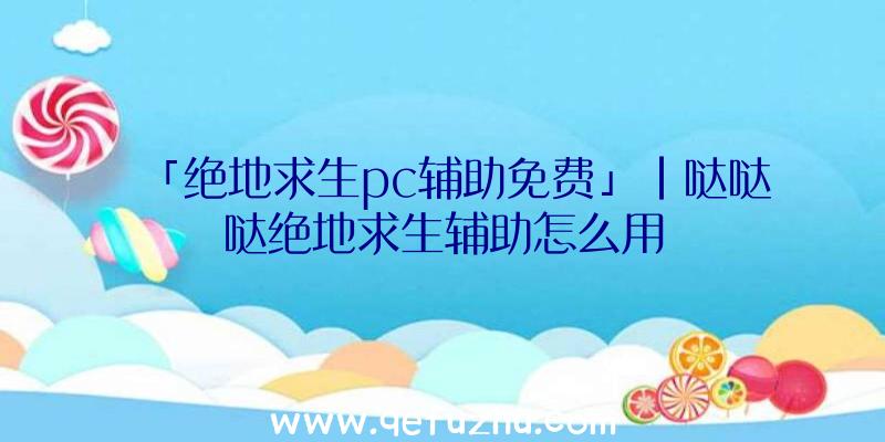 「绝地求生pc辅助免费」|哒哒哒绝地求生辅助怎么用